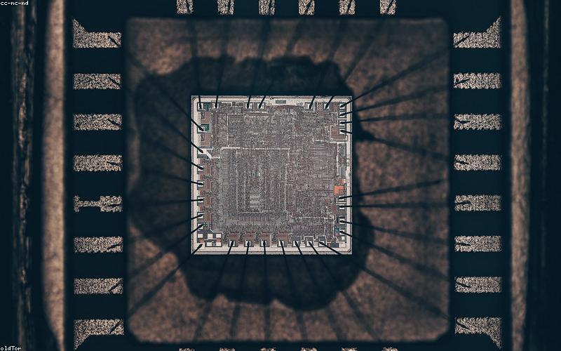 Completed: AI and Automation